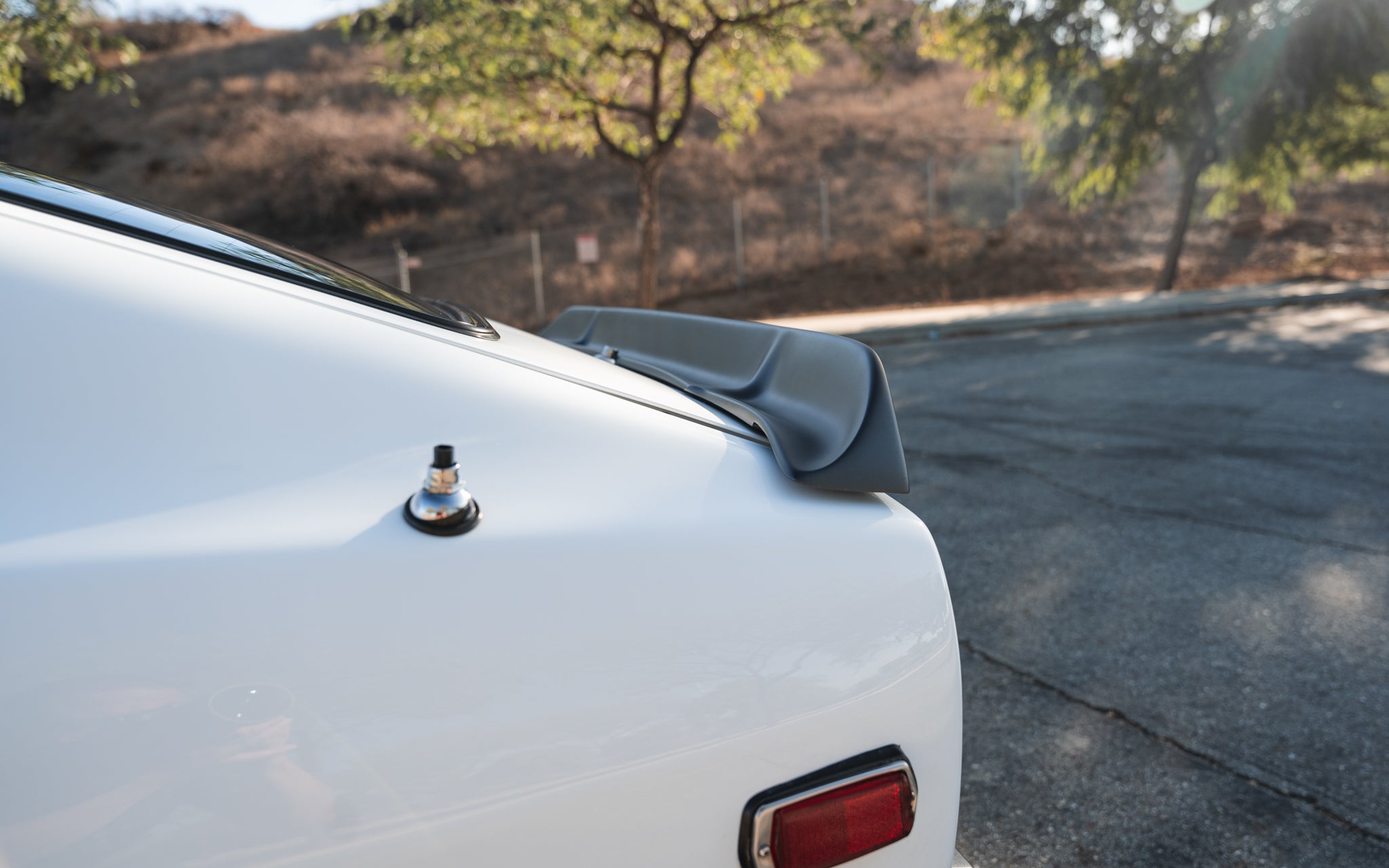 ZSales-07354_4100x.jpg?v=